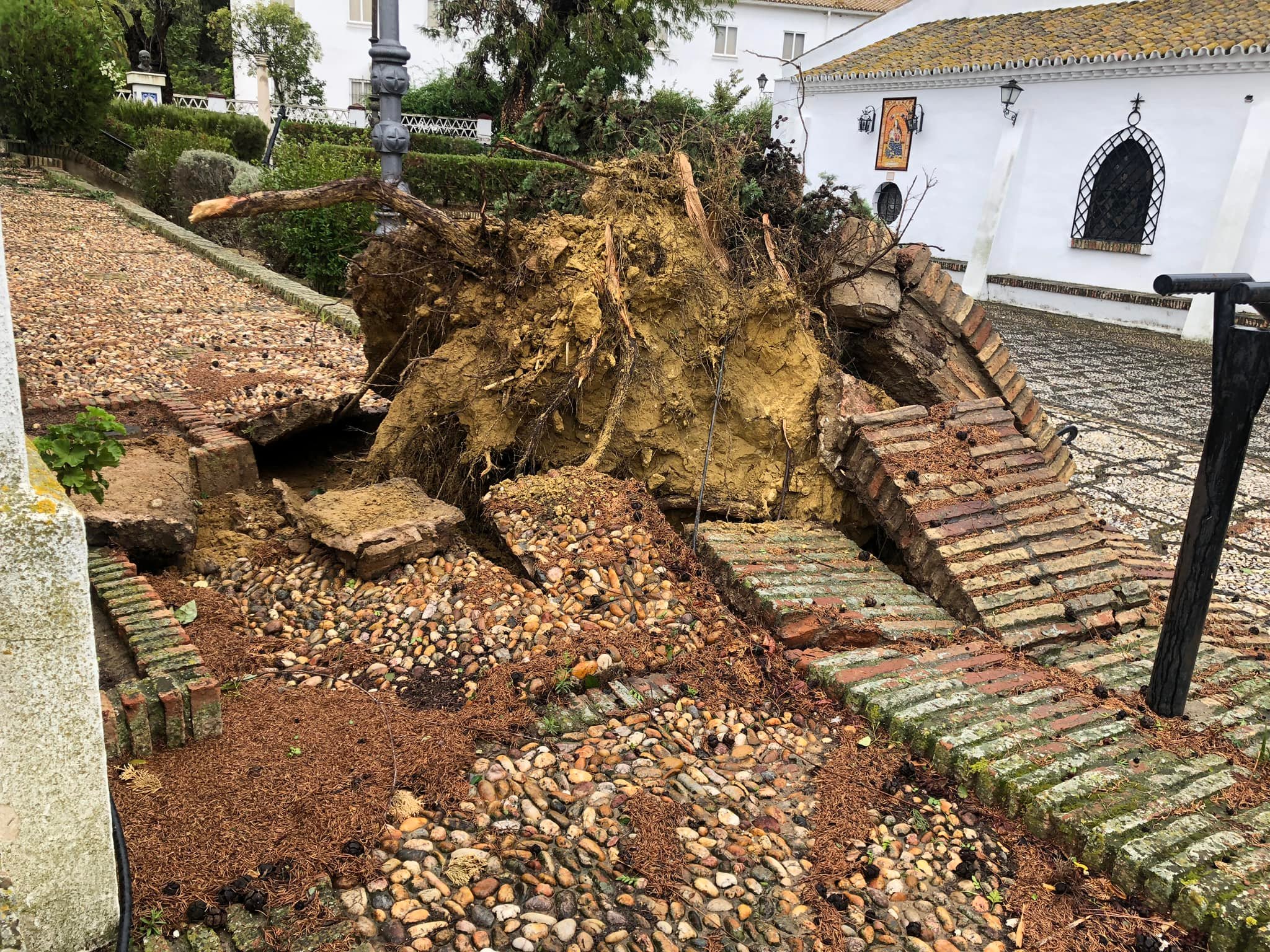 daños-sufridos-en-los-jardines-del-santuario-de-la-cinta